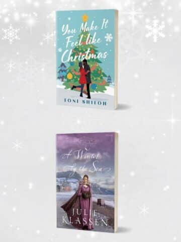 The Book Lover's Holiday Gift Guide: New Fiction for the Reader on Your List—or You!; featured image with collage of book covers and a silver, snowy background