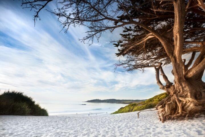 carmel beach