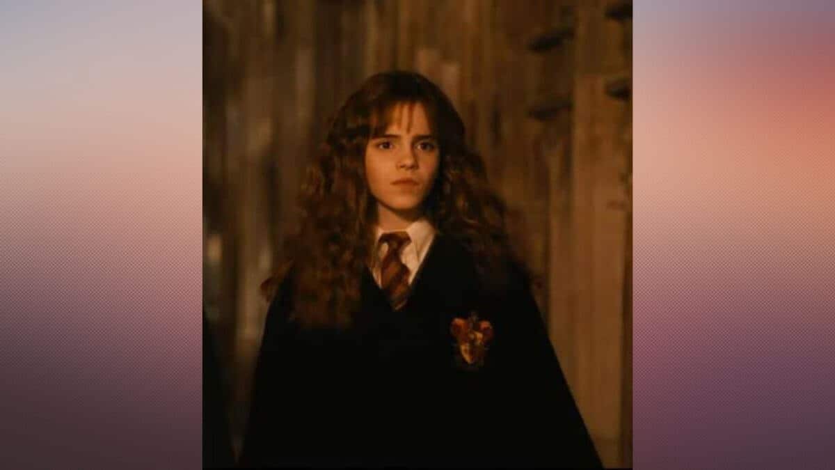 Hermione costume chamber of secrets