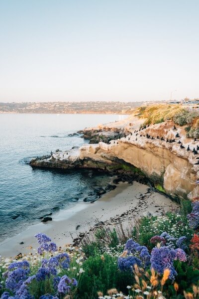 La Jolla Beach