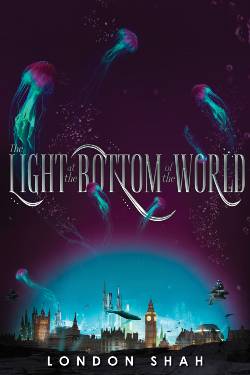 The Light at the Bottom of the World Book Cover