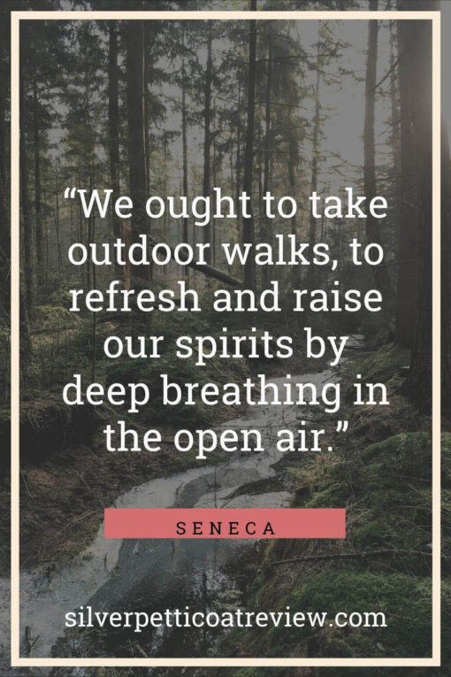 Seneca quote