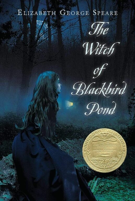 the witch of blackbird pond book cover