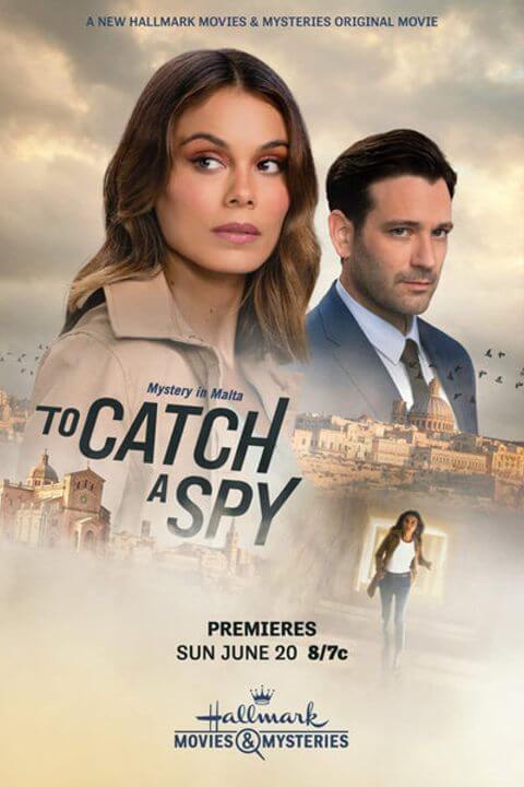 to catch a spy poster